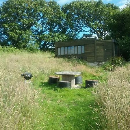 Stags View,Unique Eco Cabin, Dartmoor Views 사우스브렌트 외부 사진