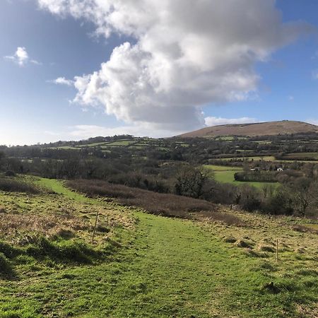 Stags View,Unique Eco Cabin, Dartmoor Views 사우스브렌트 외부 사진