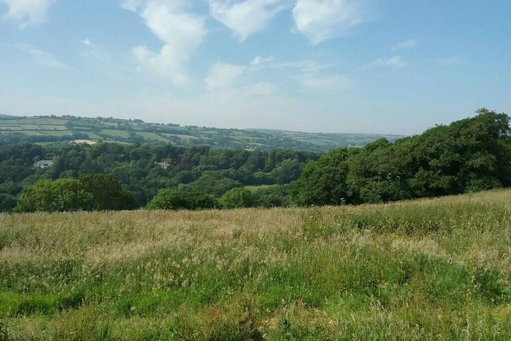 Stags View,Unique Eco Cabin, Dartmoor Views 사우스브렌트 외부 사진