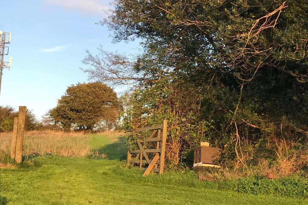 Stags View,Unique Eco Cabin, Dartmoor Views 사우스브렌트 외부 사진