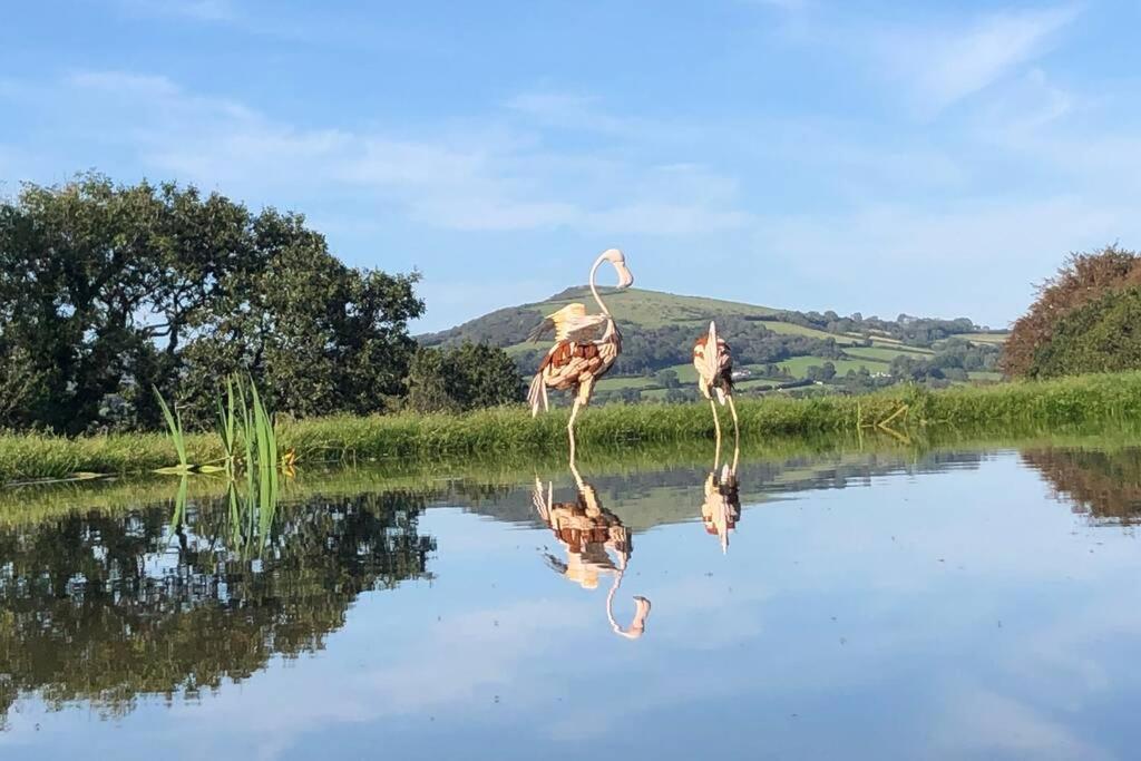 Stags View,Unique Eco Cabin, Dartmoor Views 사우스브렌트 외부 사진